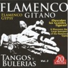 Flamenco Gitano - Tangos y Bulerías, Vol. 3