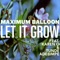 Let It Grow (feat. Karen O & Tunde Adebimpe) - Maximum Balloon lyrics