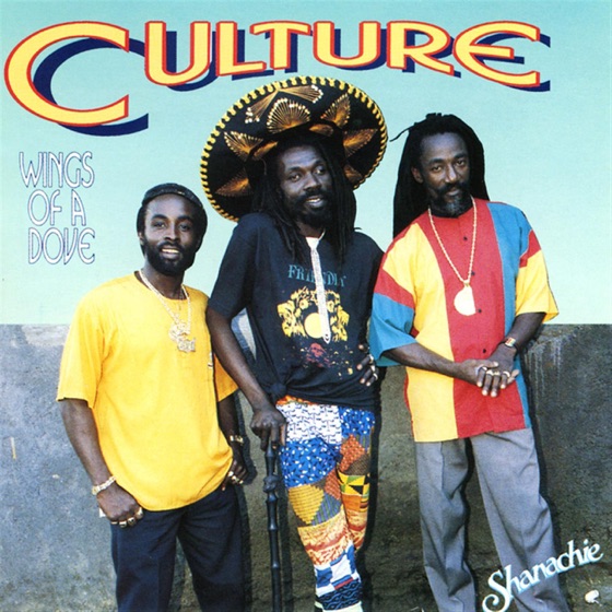 Cover artwork for Campyard
