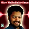 Madhu Balakrishnan & Jinsha K Naanu - Kanaa Kandenadi (From "Parthipan Kanavu")