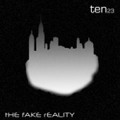 The Fake Reality artwork