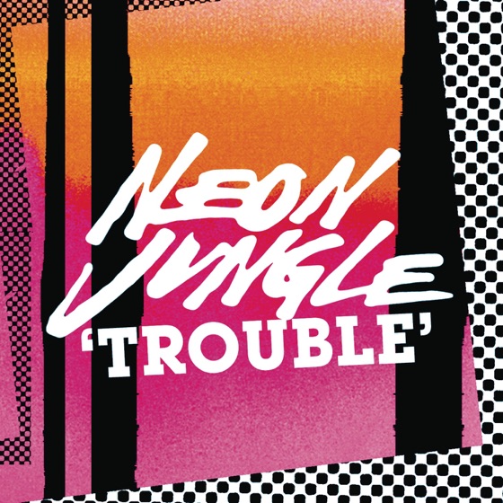 Cover artwork for Trouble