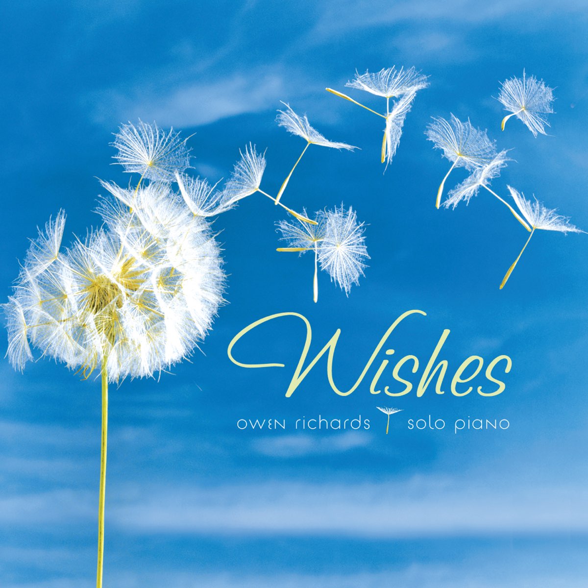 Wishes. Vish. The Wish. Wildflower Wishes.