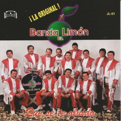 Banda El Limon - Si por Casualidad
