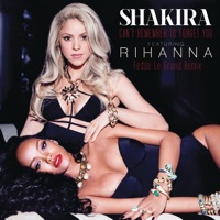 Shakira & Rihanna - CAN'T REMEMBER TO FORGET YOU