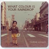 What Colour Is Your Raindrop artwork