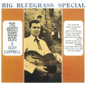 Big Bluesgrass Special artwork