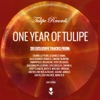 One Year of Tulipe