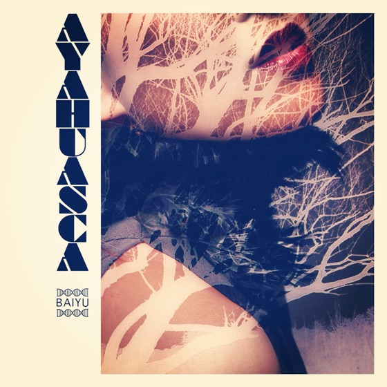 Cover artwork for Fire