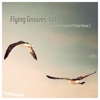 Flying Grooves, Vol. 2 - 25 Tracks With a Touch of Deep House