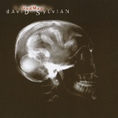 David Sylvian - God Man