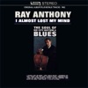 Ray Anthony and His Orchestra - Blue Velvet