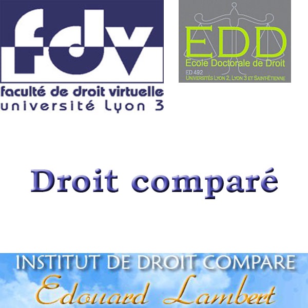Droit comparé cover