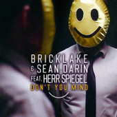 Don't You Mind (feat. Herr Spiegel) [Radio Edit] - Bricklake & Sean Darin