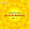 Sakala Devatha Gayatri Mantras, Vol. 1 album lyrics, reviews, download