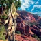 Chasing the Wind - Ron Allen lyrics