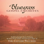 Cluster Pluckers - What A Friend We Have In Jesus (Bluegrass Gospel Favorites Album Version)