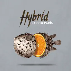 Hybrid - Barrio París