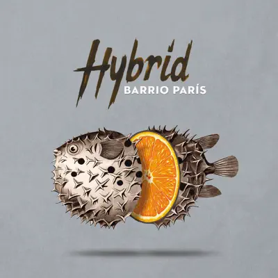 Hybrid - Barrio París Hybrid - Barrio París