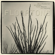 Floratone - Floratone