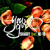 You Girl (feat. Ne-Yo) by Shaggy