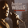 Junior Wells: Best of the Vanguard Years - Junior Wells