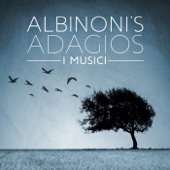 Adagio in G Minor for Strings and Organ, "Albinoni's Adagio" artwork