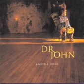 Dr. John - Anutha Zone