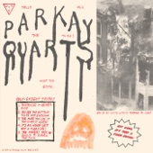 Parquet Courts - You've Got Me Wonderin' Now