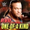 WWE: One of a Kind (Rob Van Dam) artwork