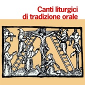 Quasi cedrus (Lezione III, Ufficio della Beata Vergine Maria) artwork