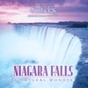 Niagara Falls: A Natural Wonder, 2013