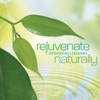 Dan Gibson's Solitudes - Rejuvenate: Phase 2