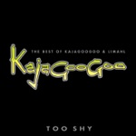 Too Shy by Kajagoogoo