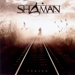 Reason - Shaman