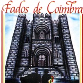 Fado Sepulveda artwork