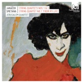 String Quartet No. 1 in E Minor 'From My Life': I. Allegro vivo appassionato artwork