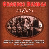 Grandes Bandas: 20 Éxitos artwork