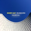 Short Cut to Heaven, Vol. 5 - Deep Trance Tunes, 2013