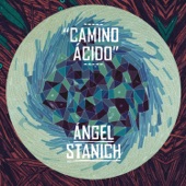 Camino Ácido artwork