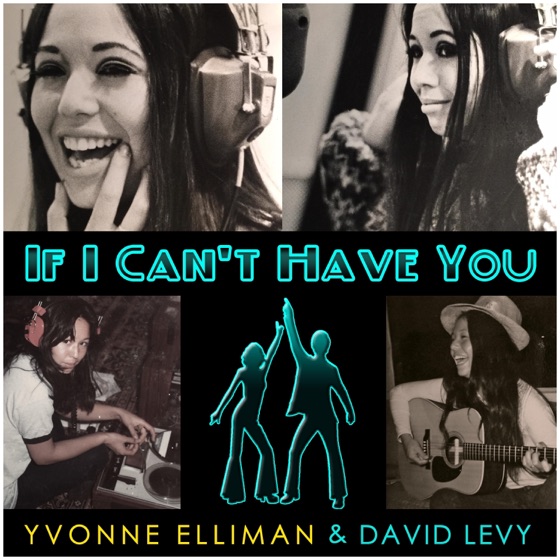 Cover artwork for If I Can't Have You