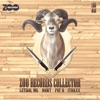 Zoo Records Collector 2 - EP