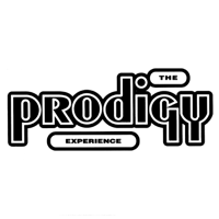 The Prodigy - Experience artwork