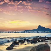 Suoni della Natura & Musiche Rilassanti - Armonia, Benessere, Relax - Armonia, Benessere & Musica