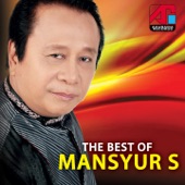 Best of Mansyur S artwork