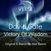 Victory of Wisdom - Single