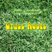 The Grass Roots - Midnight Confessions