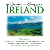 Brendan Bowyer's Ireland artwork