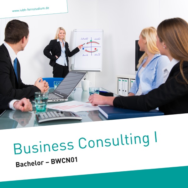 Business Consulting I (Bachelor) cover