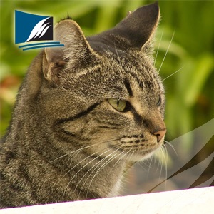 Basic Animal Care Science S1 cover